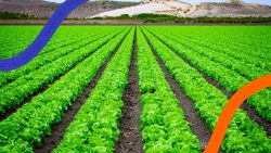 Impactos fiscais da premiação corporativa no agronegócio: atenção aos detalhes!