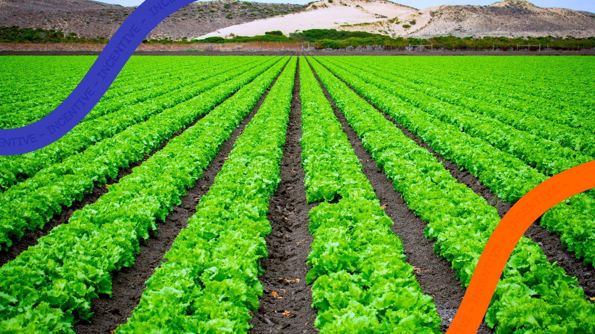 Impactos fiscais da premiacao corporativa no agronegocio
