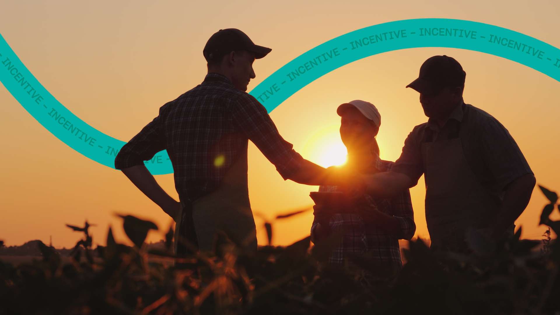 Endomarketing no agronegócio engajando colaboradores rurais