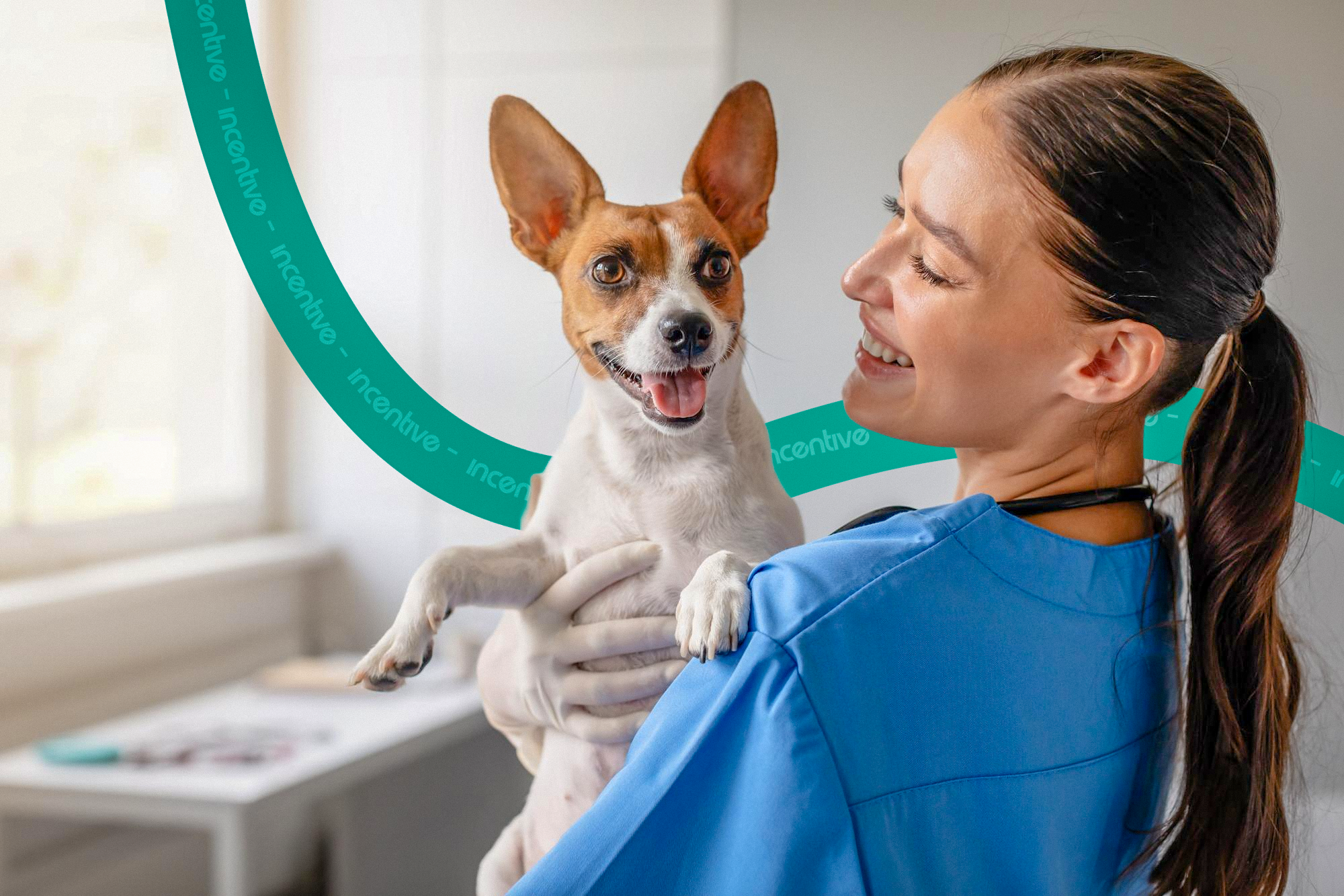 Incentivo pet corporativo: o segredo para atrair as novas gera&ccedil;&otilde;es